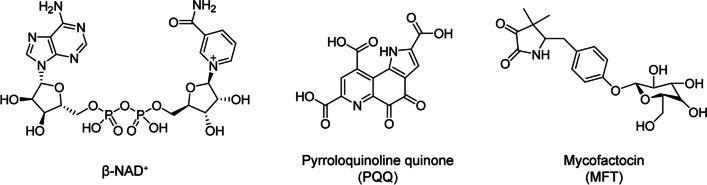 https://cdn.ncbi.nlm.nih.gov/pmc/blobs/7bf1/11166783/6ae642d77d00/253_2024_13179_Fig5_HTML.jpg