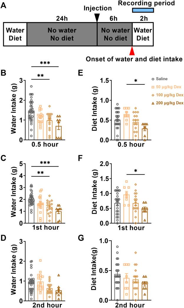 https://cdn.ncbi.nlm.nih.gov/pmc/blobs/7bf1/9445239/bb344bd3142b/fphar-13-919032-g003.jpg