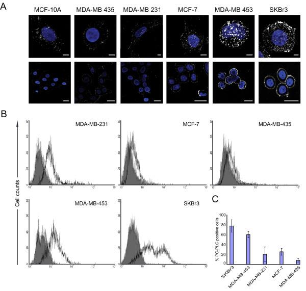 https://cdn.ncbi.nlm.nih.gov/pmc/blobs/7bf2/2917016/0defd0248d05/bcr2575-1.jpg