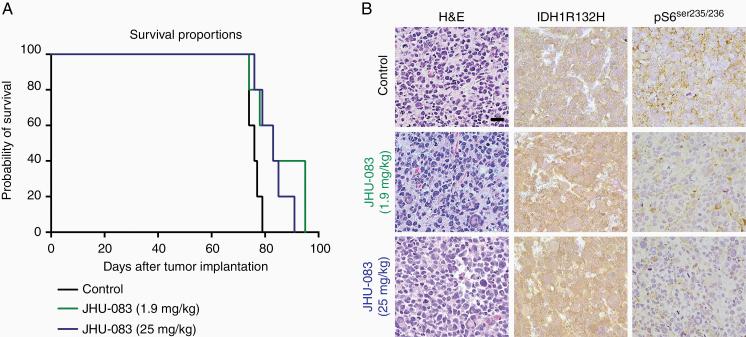 https://cdn.ncbi.nlm.nih.gov/pmc/blobs/7bf4/7920530/6d7b38e9ab16/vdaa149_fig6.jpg