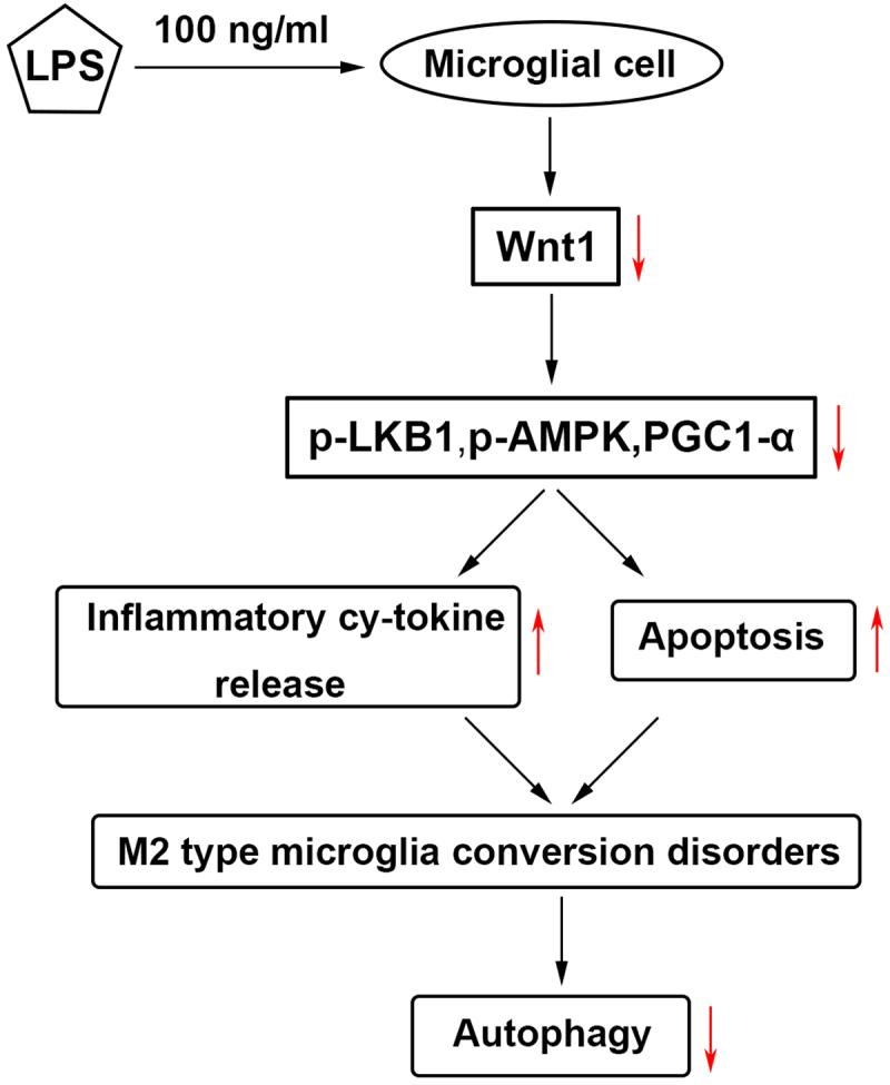 https://cdn.ncbi.nlm.nih.gov/pmc/blobs/7bf5/9275958/6eed13fb19b5/KBIE_A_2074767_UF0001_OC.jpg