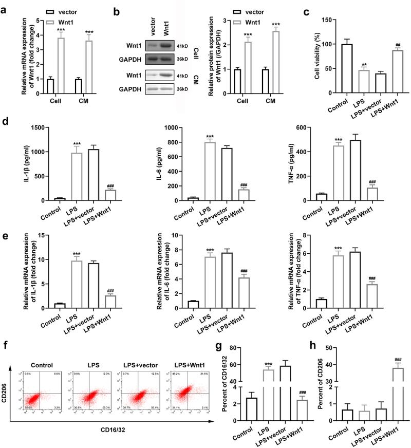 https://cdn.ncbi.nlm.nih.gov/pmc/blobs/7bf5/9275958/7901918ded78/KBIE_A_2074767_F0003_OC.jpg