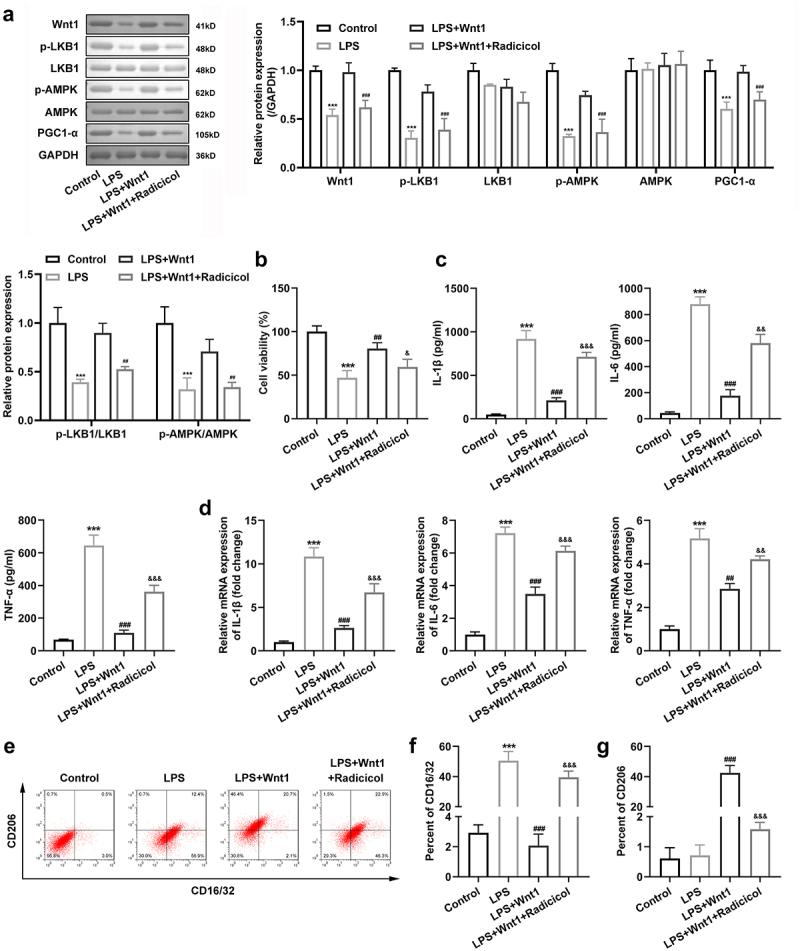 https://cdn.ncbi.nlm.nih.gov/pmc/blobs/7bf5/9275958/8c40be1ca60f/KBIE_A_2074767_F0006_OC.jpg