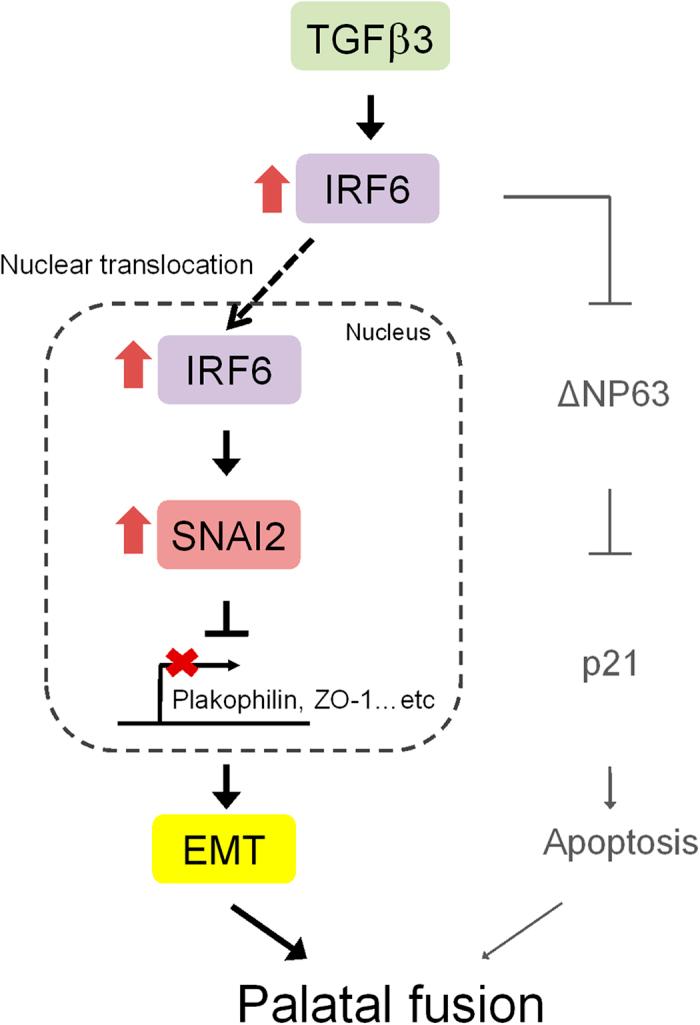 https://cdn.ncbi.nlm.nih.gov/pmc/blobs/7bf6/4523936/37c3ef223b3d/srep12791-f7.jpg