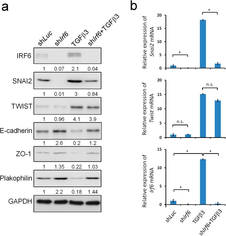 https://cdn.ncbi.nlm.nih.gov/pmc/blobs/7bf6/4523936/76cb82271451/srep12791-f3.jpg