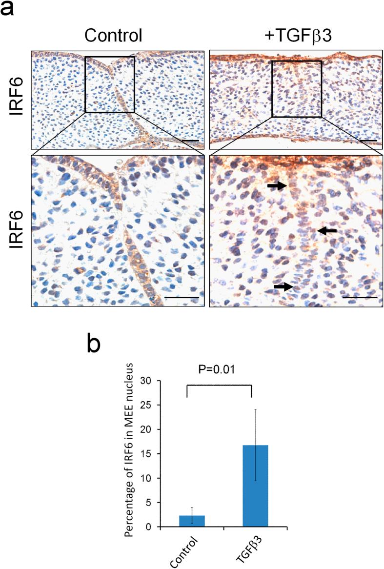 https://cdn.ncbi.nlm.nih.gov/pmc/blobs/7bf6/4523936/d20bafc82ced/srep12791-f4.jpg