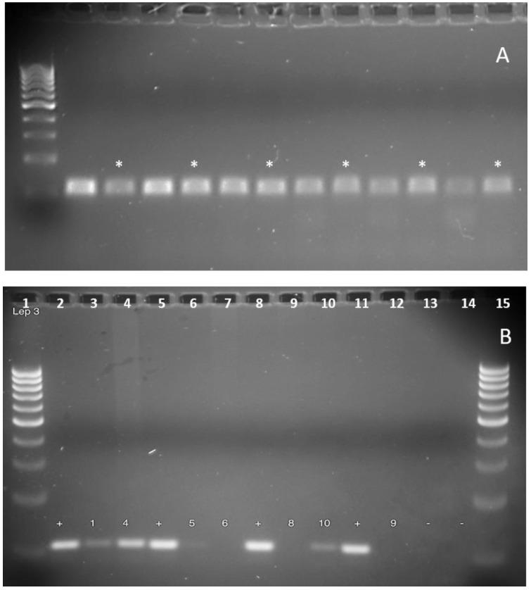 https://cdn.ncbi.nlm.nih.gov/pmc/blobs/7bf6/5278651/7ff84e9edd54/jgenv05p0004g002.jpg