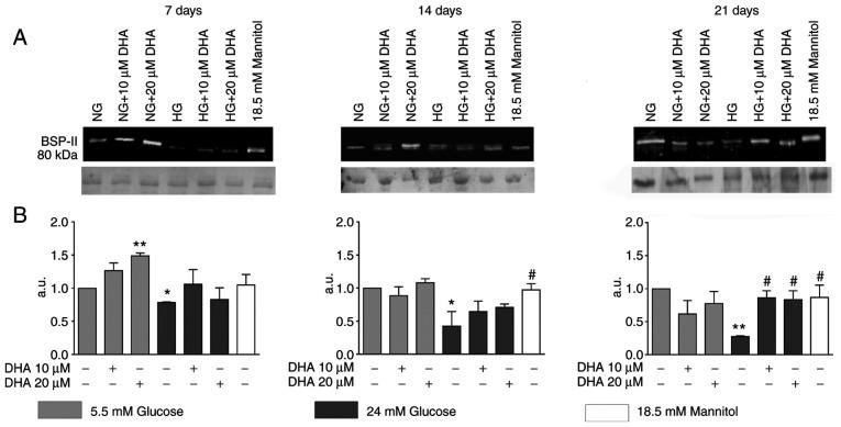 https://cdn.ncbi.nlm.nih.gov/pmc/blobs/7bf6/8815046/71e40e23a06e/etm-23-03-11160-g01.jpg
