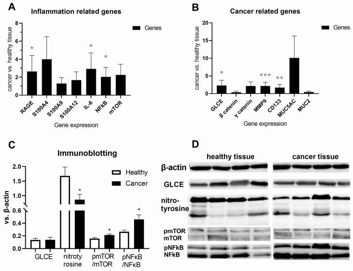 https://cdn.ncbi.nlm.nih.gov/pmc/blobs/7bf8/11432548/14d46fb17a29/ijms-25-10062-g004.jpg