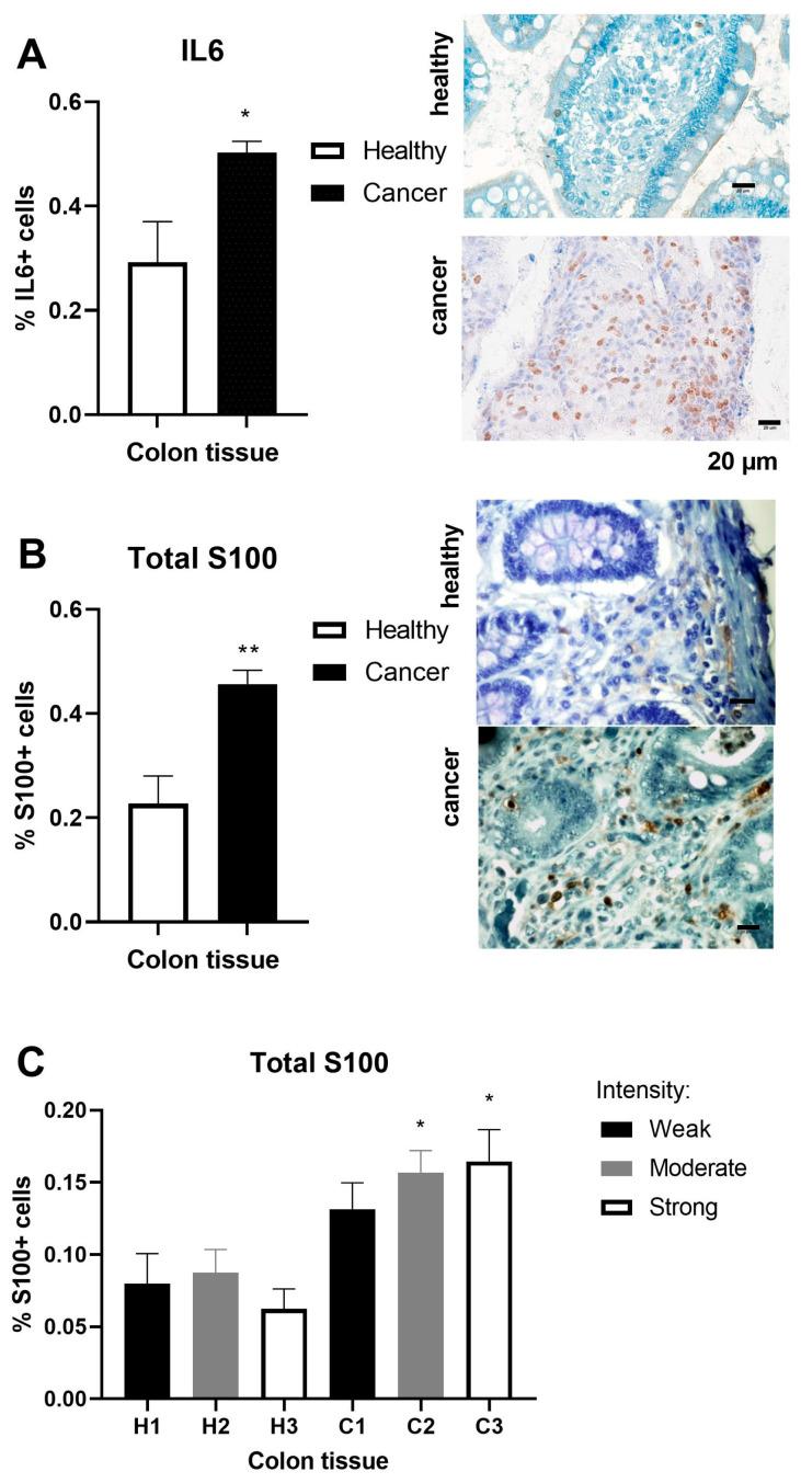 https://cdn.ncbi.nlm.nih.gov/pmc/blobs/7bf8/11432548/17fce7fb636b/ijms-25-10062-g003.jpg