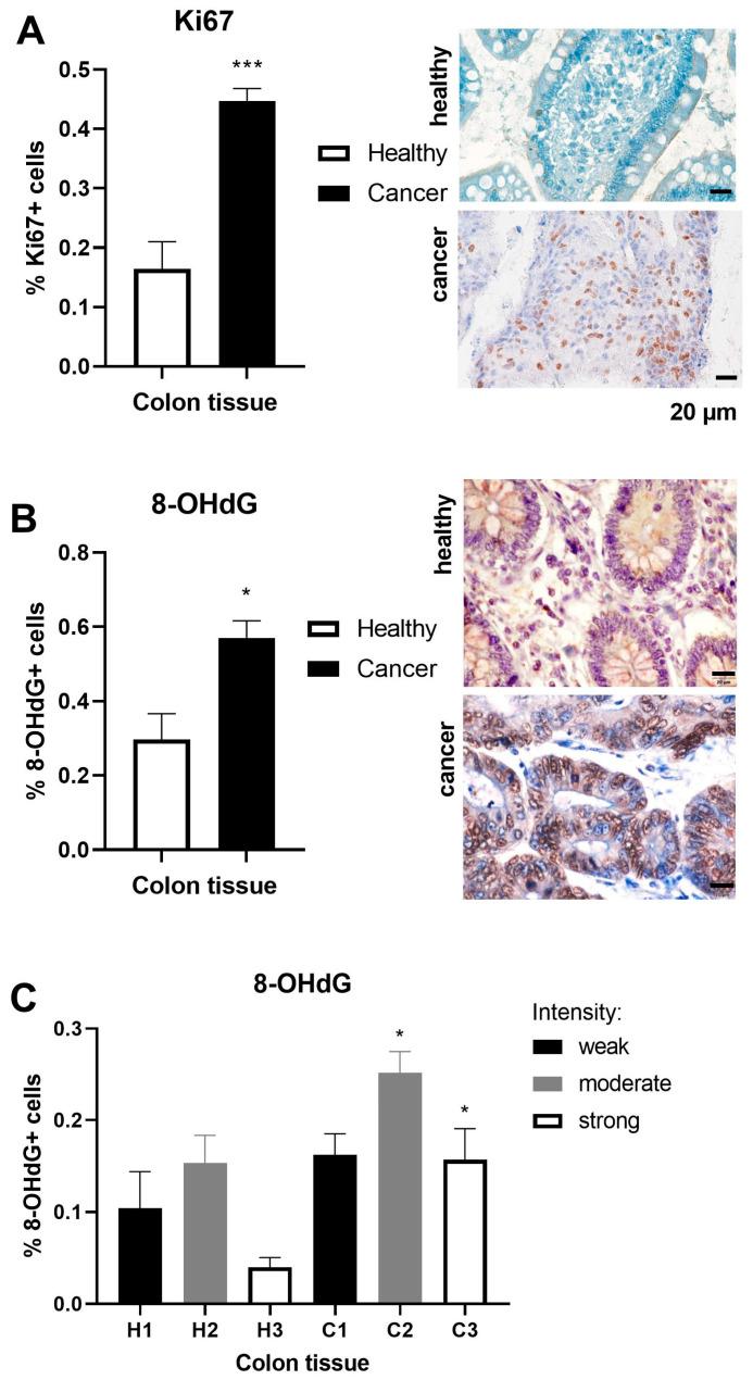https://cdn.ncbi.nlm.nih.gov/pmc/blobs/7bf8/11432548/56cadb7b5e7a/ijms-25-10062-g002.jpg