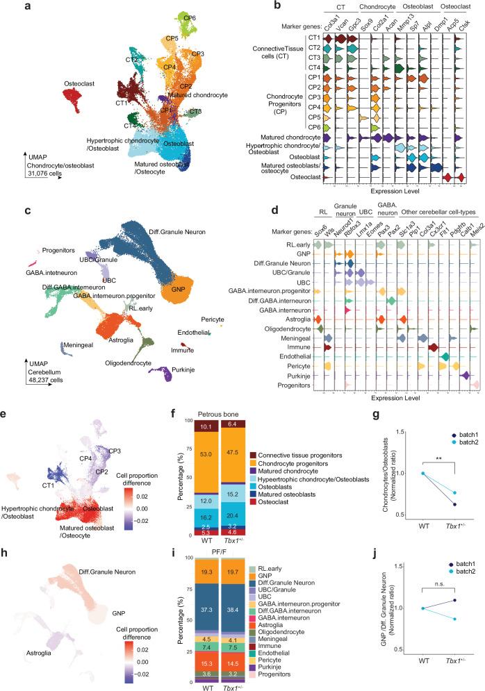 https://cdn.ncbi.nlm.nih.gov/pmc/blobs/7bf8/11621701/3ae96548b4d8/41467_2024_54837_Fig7_HTML.jpg