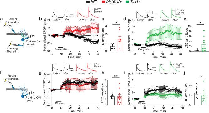 https://cdn.ncbi.nlm.nih.gov/pmc/blobs/7bf8/11621701/9e4bb2cc0020/41467_2024_54837_Fig4_HTML.jpg