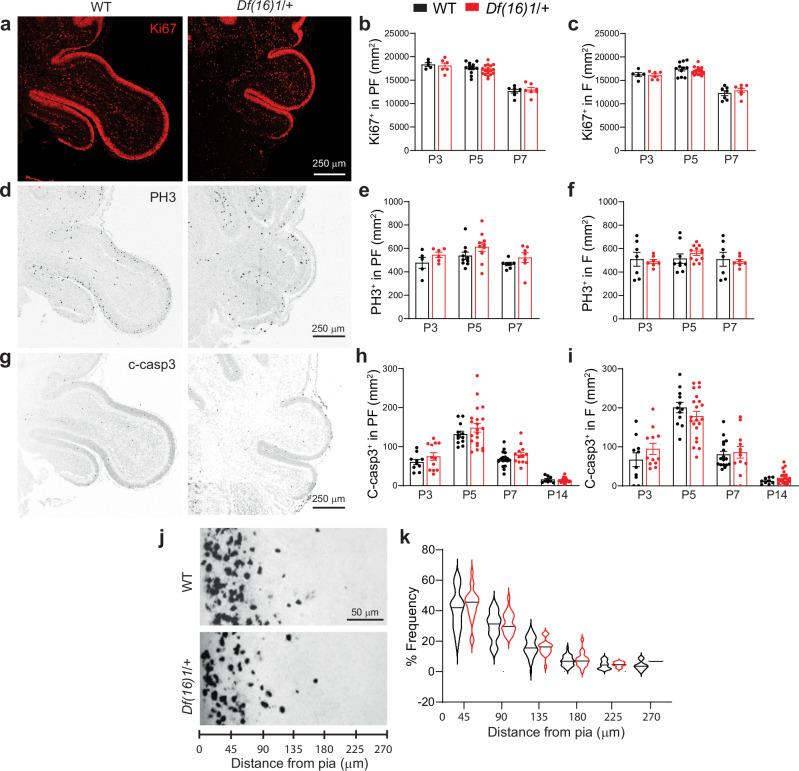 https://cdn.ncbi.nlm.nih.gov/pmc/blobs/7bf8/11621701/d7161af45975/41467_2024_54837_Fig5_HTML.jpg