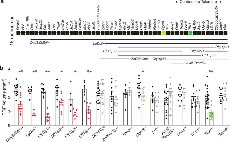 https://cdn.ncbi.nlm.nih.gov/pmc/blobs/7bf8/11621701/fcb54fa96436/41467_2024_54837_Fig2_HTML.jpg