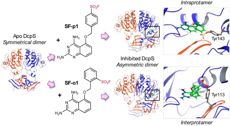 https://cdn.ncbi.nlm.nih.gov/pmc/blobs/7bf8/12153465/80dcf62fbb4a/d5sc02647d-f2.jpg