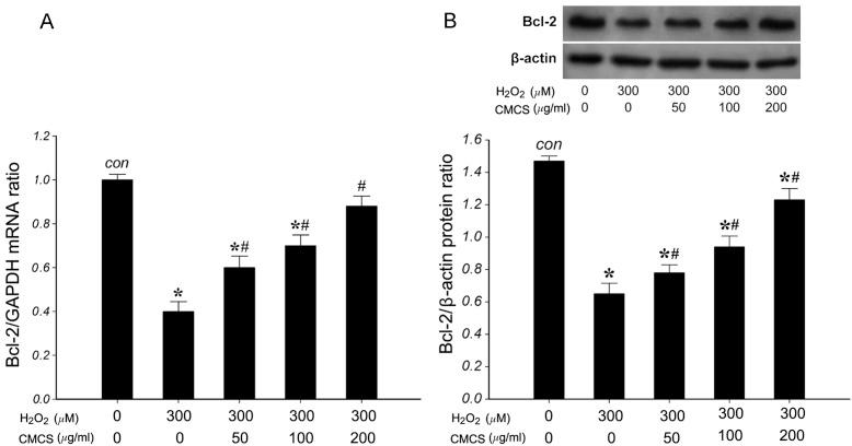 https://cdn.ncbi.nlm.nih.gov/pmc/blobs/7bf8/4270326/c7950837e71a/MMR-11-03-1629-g06.jpg