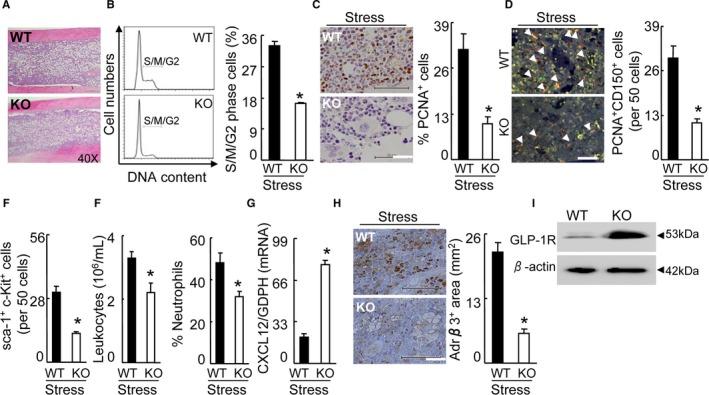 https://cdn.ncbi.nlm.nih.gov/pmc/blobs/7bf8/5586325/68cb530aff7d/JAH3-6-e006394-g011.jpg