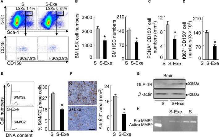 https://cdn.ncbi.nlm.nih.gov/pmc/blobs/7bf8/5586325/de4ecf9669ca/JAH3-6-e006394-g010.jpg