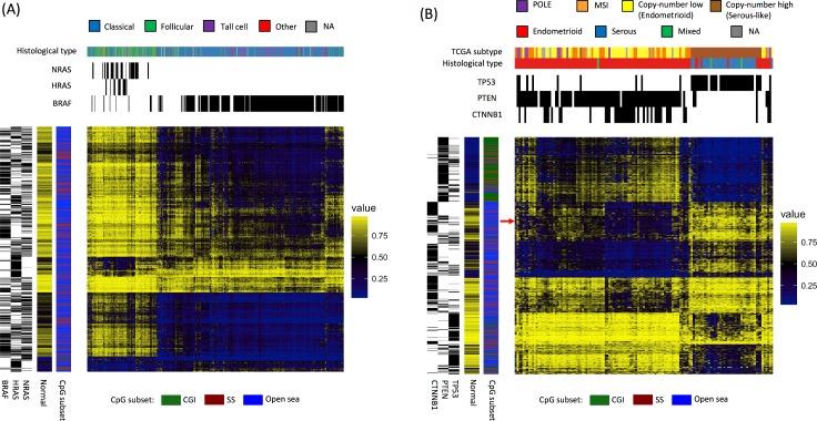 https://cdn.ncbi.nlm.nih.gov/pmc/blobs/7bf8/5709060/8e915560ba0b/pcbi.1005840.g004.jpg