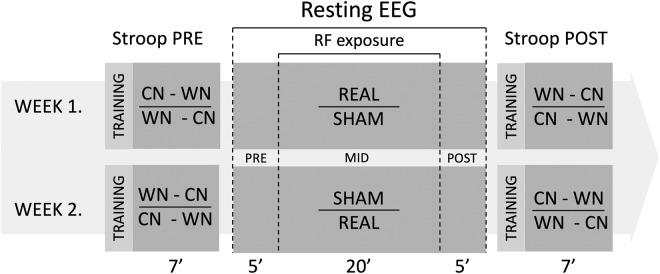 https://cdn.ncbi.nlm.nih.gov/pmc/blobs/7bf8/6301959/12caff879b34/41598_2018_36353_Fig1_HTML.jpg