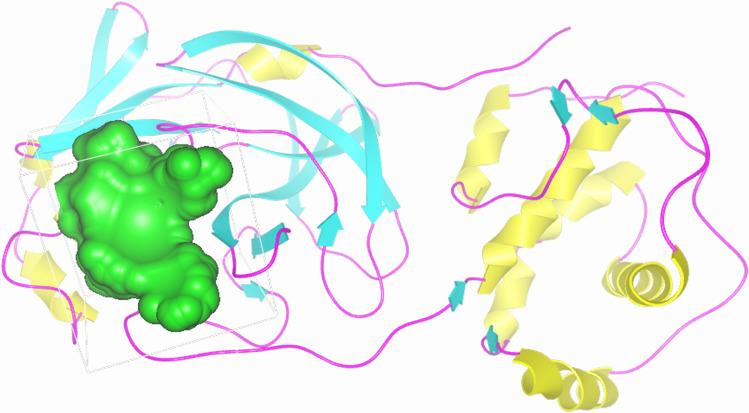 https://cdn.ncbi.nlm.nih.gov/pmc/blobs/7bf9/8423725/4baf979fc758/41598_2021_97268_Fig1_HTML.jpg