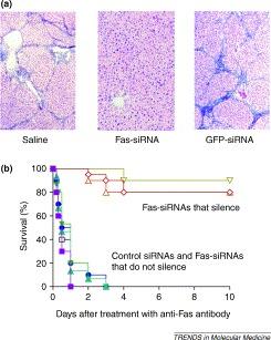 https://cdn.ncbi.nlm.nih.gov/pmc/blobs/7bfb/7128953/879c1ca5ef4e/gr2.jpg