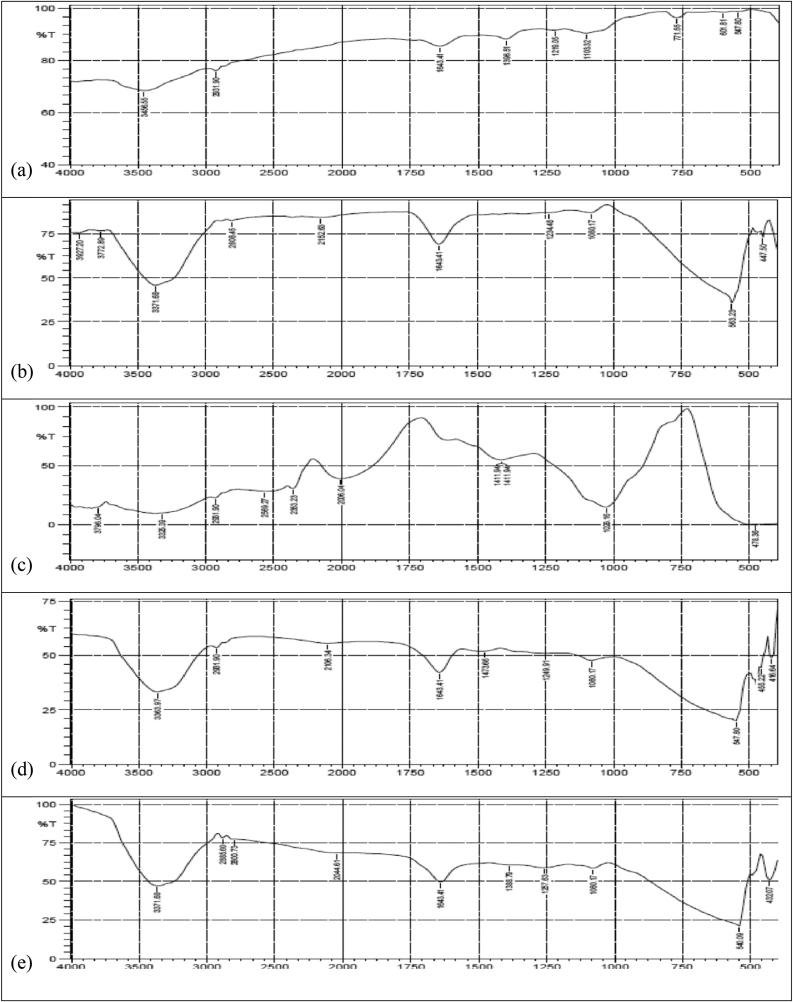https://cdn.ncbi.nlm.nih.gov/pmc/blobs/7bfc/8933683/382387220055/gr7.jpg