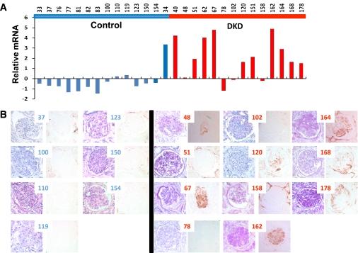 https://cdn.ncbi.nlm.nih.gov/pmc/blobs/7c01/3161334/c17d707d0212/2354fig4.jpg