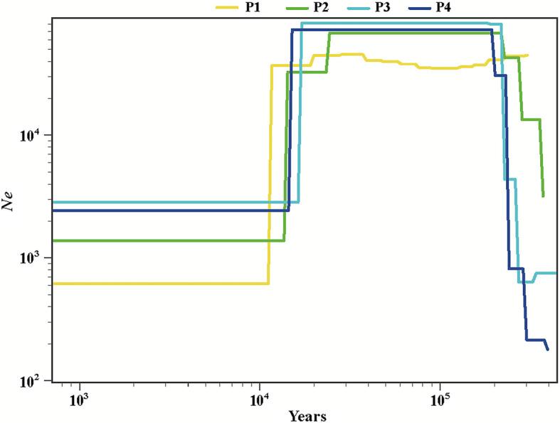 https://cdn.ncbi.nlm.nih.gov/pmc/blobs/7c02/12247403/3912d319607c/12870_2025_6885_Fig4_HTML.jpg