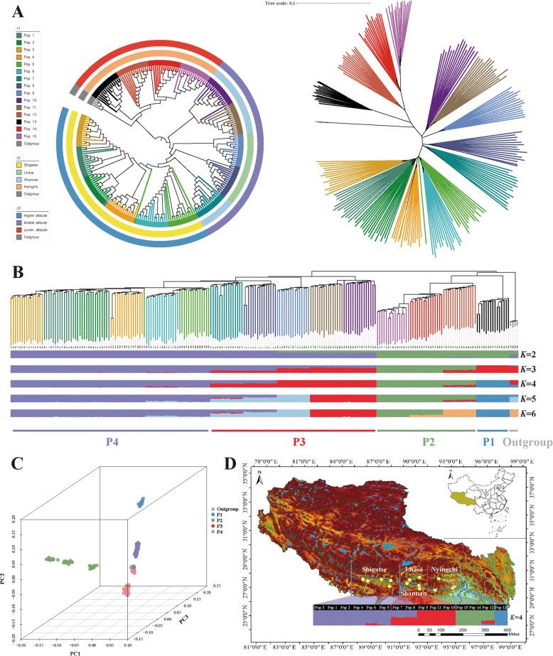 https://cdn.ncbi.nlm.nih.gov/pmc/blobs/7c02/12247403/6faa5d673bcb/12870_2025_6885_Fig2_HTML.jpg