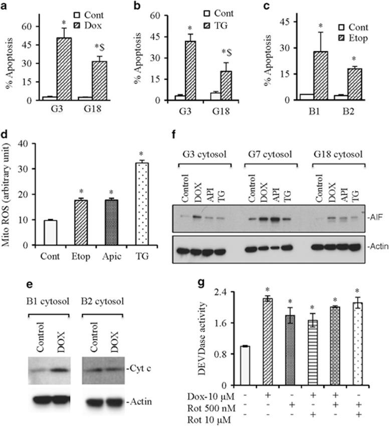 https://cdn.ncbi.nlm.nih.gov/pmc/blobs/7c02/4670921/0925aaedcbb8/cddis2015305f7.jpg