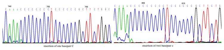 https://cdn.ncbi.nlm.nih.gov/pmc/blobs/7c03/8165653/995d58813a64/OTT-14-3461-g0002.jpg