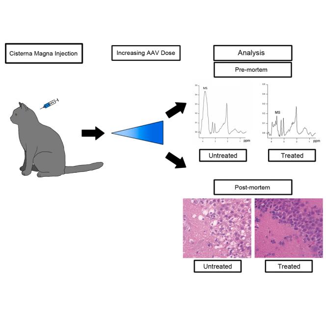 https://cdn.ncbi.nlm.nih.gov/pmc/blobs/7c04/11214173/2fd276326a04/fx1.jpg