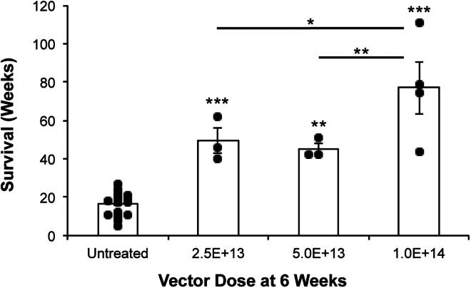https://cdn.ncbi.nlm.nih.gov/pmc/blobs/7c04/11214173/daf78250cd10/gr1.jpg