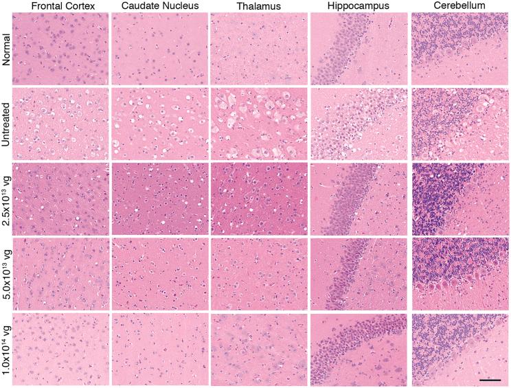 https://cdn.ncbi.nlm.nih.gov/pmc/blobs/7c04/11214173/e3f856d31373/gr3.jpg