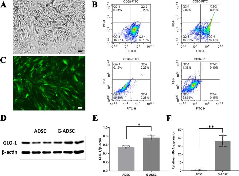 https://cdn.ncbi.nlm.nih.gov/pmc/blobs/7c05/8281719/1ebe419a903f/13287_2021_2475_Fig1_HTML.jpg