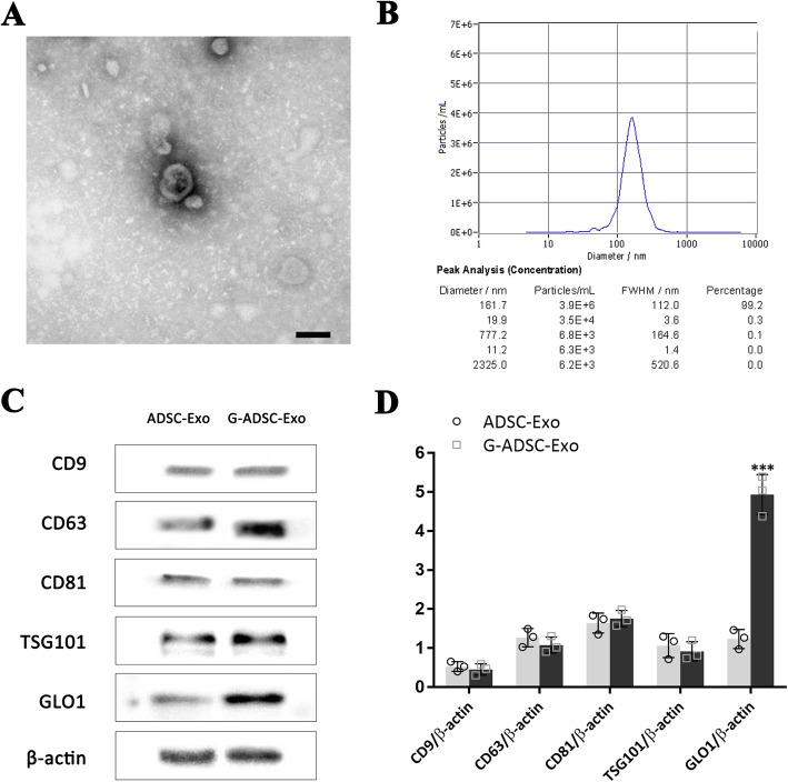 https://cdn.ncbi.nlm.nih.gov/pmc/blobs/7c05/8281719/47363797d868/13287_2021_2475_Fig2_HTML.jpg