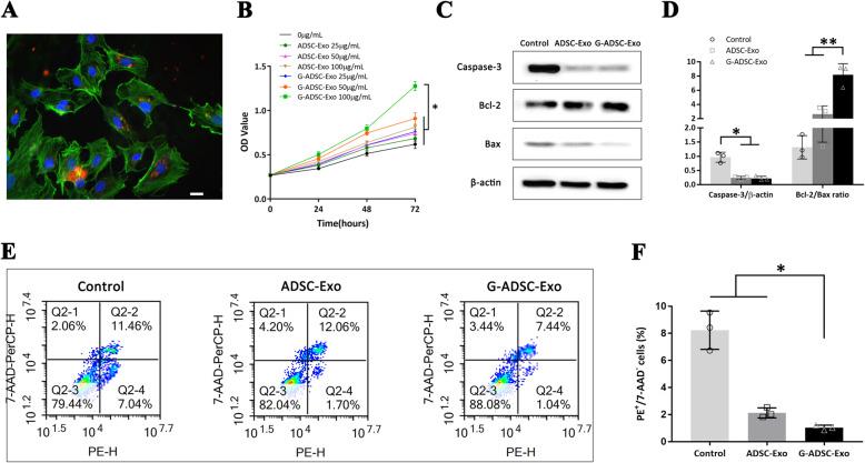 https://cdn.ncbi.nlm.nih.gov/pmc/blobs/7c05/8281719/73969e7b828f/13287_2021_2475_Fig3_HTML.jpg