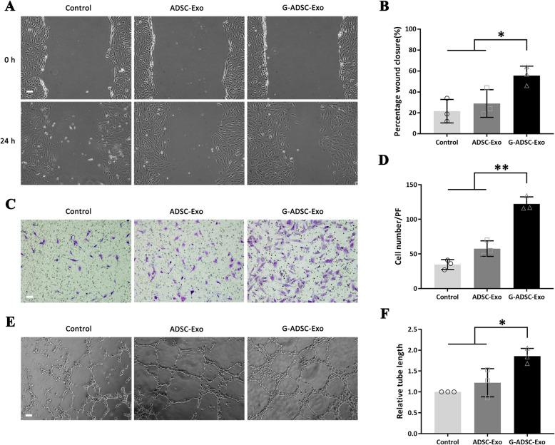 https://cdn.ncbi.nlm.nih.gov/pmc/blobs/7c05/8281719/8d1bea4821d6/13287_2021_2475_Fig4_HTML.jpg