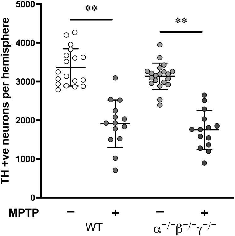 https://cdn.ncbi.nlm.nih.gov/pmc/blobs/7c06/8633583/651180bf9051/gr1.jpg