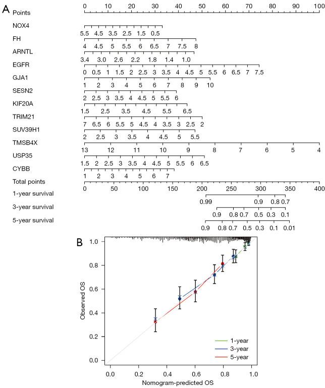 https://cdn.ncbi.nlm.nih.gov/pmc/blobs/7c07/11985187/d1f2ef91fc28/tcr-14-03-1857-f9.jpg