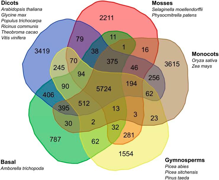 https://cdn.ncbi.nlm.nih.gov/pmc/blobs/7c07/3948814/2f19fb0550b8/891fig3.jpg