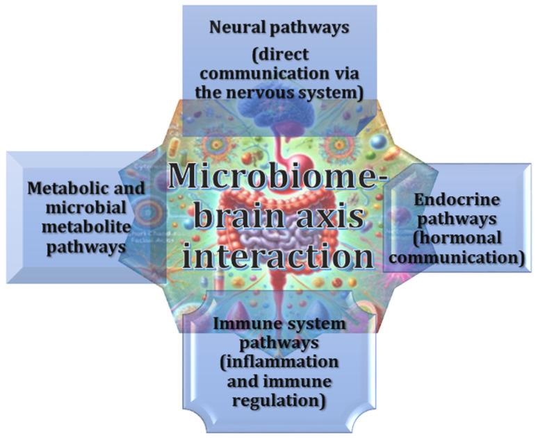 https://cdn.ncbi.nlm.nih.gov/pmc/blobs/7c0a/12027284/1ca510f8051d/ijms-26-03658-g001.jpg