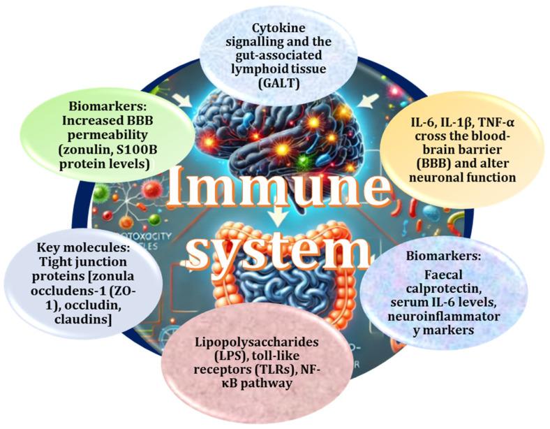 https://cdn.ncbi.nlm.nih.gov/pmc/blobs/7c0a/12027284/629832e48ea7/ijms-26-03658-g004.jpg