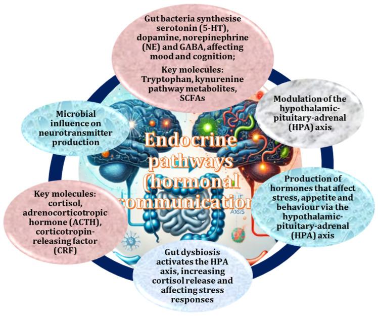 https://cdn.ncbi.nlm.nih.gov/pmc/blobs/7c0a/12027284/91dabdaac7a6/ijms-26-03658-g005.jpg