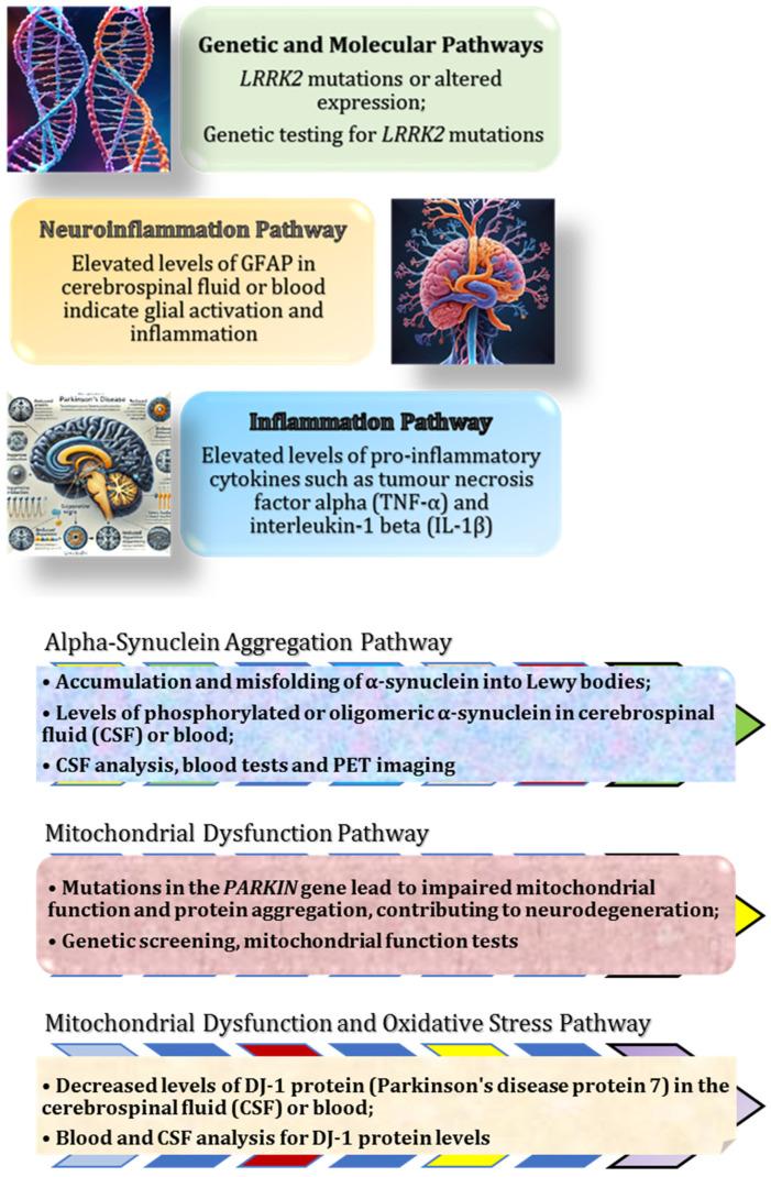 https://cdn.ncbi.nlm.nih.gov/pmc/blobs/7c0a/12027284/955f7f146880/ijms-26-03658-g007a.jpg