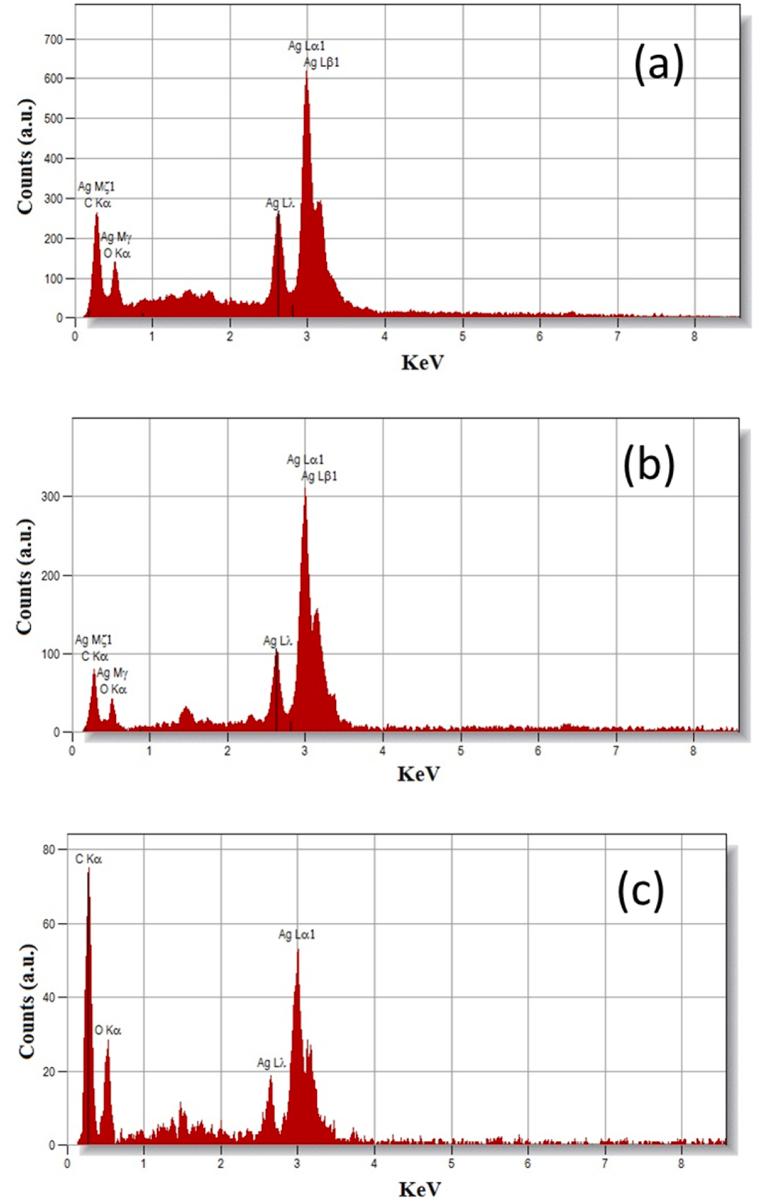 https://cdn.ncbi.nlm.nih.gov/pmc/blobs/7c0b/10196522/1fb17226c0f5/gr7.jpg