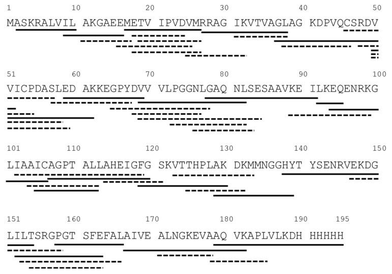 https://cdn.ncbi.nlm.nih.gov/pmc/blobs/7c0b/11508141/482cfb15cf45/ijms-25-11075-g004.jpg