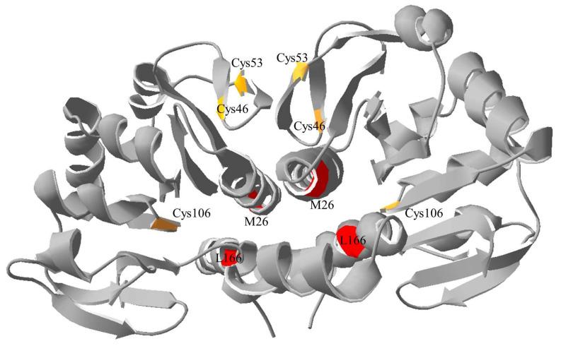 https://cdn.ncbi.nlm.nih.gov/pmc/blobs/7c0b/11508141/d91df793b718/ijms-25-11075-g001.jpg
